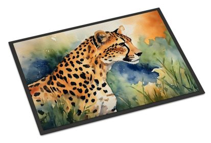 NEW Cheetah Doormat Front Door Mat Indoor Outdoor Rugs for Entryway, Non Slip Washable Low Pile, 18H X 27W